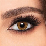 FreshLook Colorblends 145 -00.00 Pure Hazel Lenses 2's